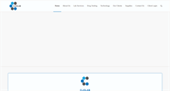 Desktop Screenshot of cliolab.com